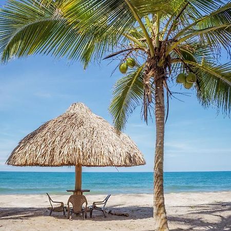 Uuttaaka Eco-Hotel Паломино Экстерьер фото